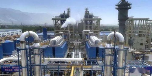 陽光焦化a股ipo啟動(dòng)