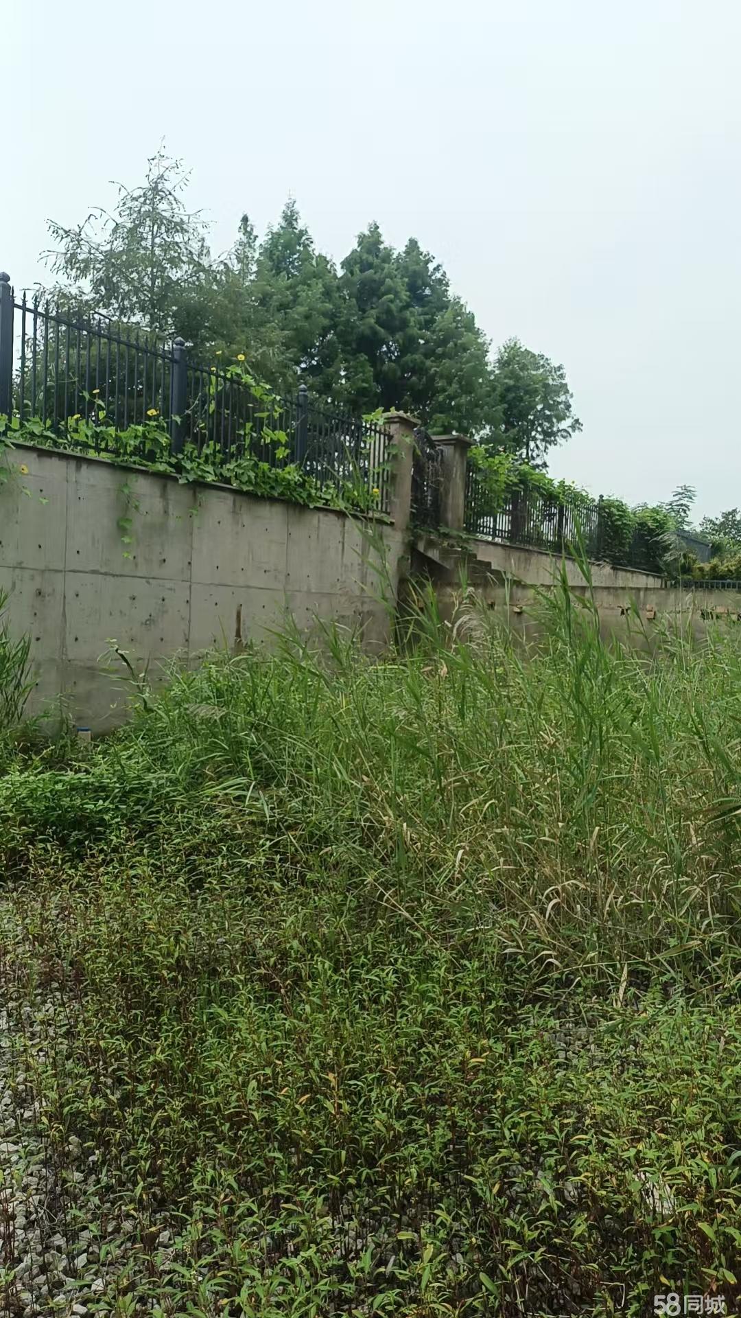 淮安綠植花卉租擺與綠化施工全流程解析